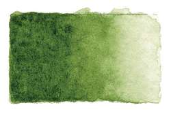 Gerstaecker - Studio acquerelli, Godet intero, Verde oliva