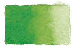 Gerstaecker - Studio acquerelli, Godet intero, Verde giallo