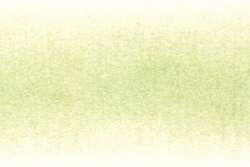Derwent - Procolour, matite colorate, Light Moss 45
