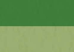 Sennelier - Abstract Ink, inchiostro acrilico, 30 ml, Verde chiaro
