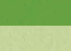Sennelier - Abstract Ink, inchiostro acrilico, 30 ml, Verde giallastro
