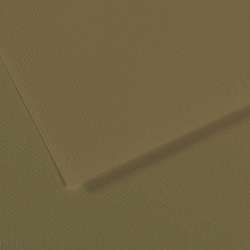 Canson - Mi-Teintes, Fogli colorati per artisti, 50 x 65 cm, Verde oliva