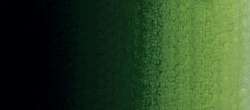 Master Class - Colori a olio artistici extra-fini russi, Tb. 46 ml, Sap Green