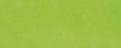 Liquitex - Professional Acrylic Ink, Inchiostro acrilico, Fl. da 30 ml, Verde fluo
