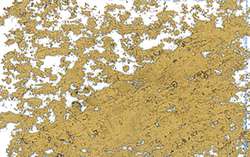 Jaxon - 1000, Pastelli ad olio singoli, Oro