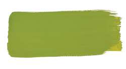 Verde oliva
