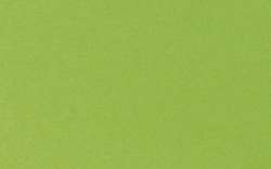Clairefontaine - Cartoncino colorato, confezione da 25 fogli, 120 g/mq, Verde mela