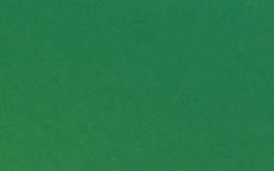 Clairefontaine - Cartoncino colorato, confezione da 25 fogli, 120 g/mq, Verde imperiale