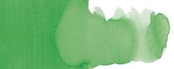Faber-Castell - Goldfaber Aqua Dual Marker, Verde foglia
