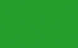 Cernit - Inchiostro a base alcol, 20 ml, 20 ml, Lucertola