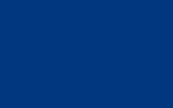 Cernit - Inchiostro a base alcol, 20 ml, 20 ml, Blu mezzanotte