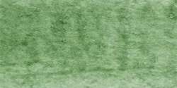 Michael Harding - Acquerelli, 15 ml, Terre Verte