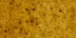 Michael Harding - Acquerelli, 15 ml, Transparent Oxide Yellow
