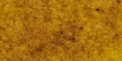 Michael Harding - Acquerelli, 15 ml, New Gamboge