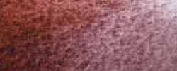 Caran D'Ache - Museum Aquarelle, Matite acquerellabili sfuse, Marrone
