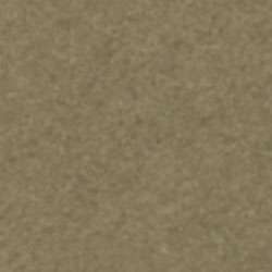 Canson - Mi-Teintes, Fogli colorati per artisti, 50 x 65 cm, Caucciù