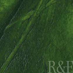 R&F - Handmade Paints, Colori per encausto, 40 ml, Sap Green