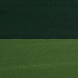 Daniel Smith - Gouache extra fine, 15 ml, Sap Green