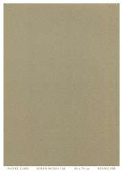 Sennelier - Pastel Card Mixed Media, Fogli singoli 50 x 70 cm, 50 x 70 cm, Grigio chiaro