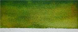 Mijello - Mission Gold, Acquerelli granulati, 15 ml, Verde muschio
