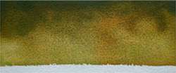 Mijello - Mission Gold, Acquerelli granulati, 15 ml, Ocra verde