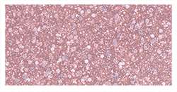 Fimo - Effect, Pasta da modellare, Blocco, 57 g, Oro rosato