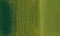 Charvin - Colori ad olio super-fini, 150 ml, Olive green