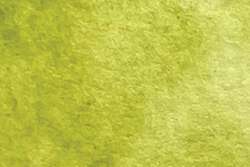 Charvin - Acquerelli extra-fini, mezzi godet, 1/2 godet, Absinthe Green