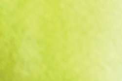 Charvin - Acquerelli extra-fini, mezzi godet, 1/2 godet, Meadow Green