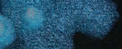 White Nights - Shimmering Collection, Acquerelli extrafini scintillanti, Godet intero, Blue Shine