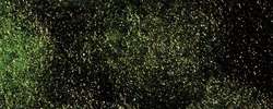 White Nights - Shimmering Collection, Acquerelli extrafini scintillanti, Godet intero, Yellow-Green Shimmer
