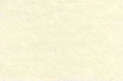 Caran d'Ache - Neoart 6901, Pastelli a cera e olio, sfusi, Bianco Bismuth