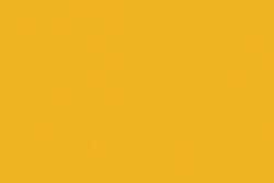 Holbein - Irodori Artists' Gouache, Colori sfusi, Yamabuki / Kerria Japonica yellow