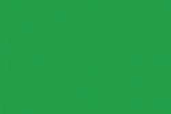 Holbein - Irodori Artists' Gouache, Colori sfusi, Wakaba / Spring green