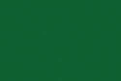 Holbein - Irodori Artists' Gouache, Colori sfusi, Moegi / Leek green