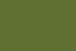 Holbein - Irodori Artists' Gouache, Colori sfusi, Uguisu / Elm green