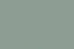 Holbein - Irodori Artists' Gouache, Colori sfusi, Rikyuunezu / Rikyu grey