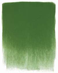 PanPastel - Ultra Soft, Pastelli in godet sfusi, Godet 9 ml, Verde ossido di cromo