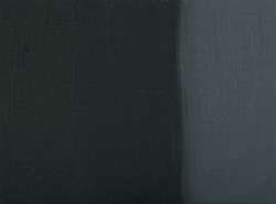 Ivory black
