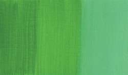 Charvin - Gouache extra-fine, 20 ml, 20 ml, Provence green