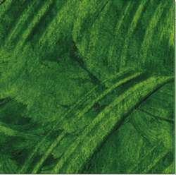 R&F - Drawing Oils, sfusi, 12 ml, Sap green