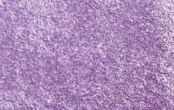 Violetto iridescente