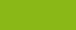 Koh-I-Noor - Polycolor, Matite colorate per artisti, sfuse, Verde giallastro