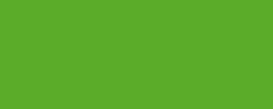 Koh-I-Noor - Polycolor, Matite colorate per artisti, sfuse, Verde chiaro