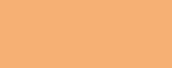 Koh-I-Noor - Polycolor, Matite colorate per artisti, sfuse, Arancio albicocca