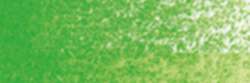 Holbein - HWCP Artists' Watercolour Pencil, sfuse, Permanent green n° 1