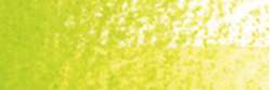 Holbein - HWCP Artists' Watercolour Pencil, sfuse, Leaf green