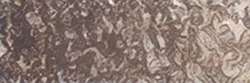 Holbein - Artists' Colored Pencil, Matite colorate per artisti, sfuse, Sepia