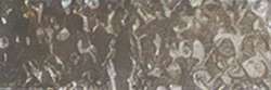 Holbein - Artists' Colored Pencil, Matite colorate per artisti, sfuse, Olive drab