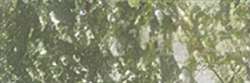Holbein - Artists' Colored Pencil, Matite colorate per artisti, sfuse, Olive green